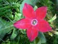 2010 05 24 jeanmarcperfetti.com 034.JPG